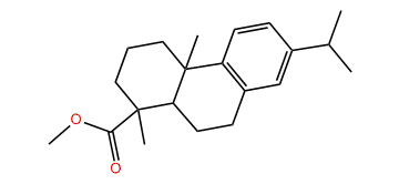 Methyl 8,11,13-abietatrien-18-oate